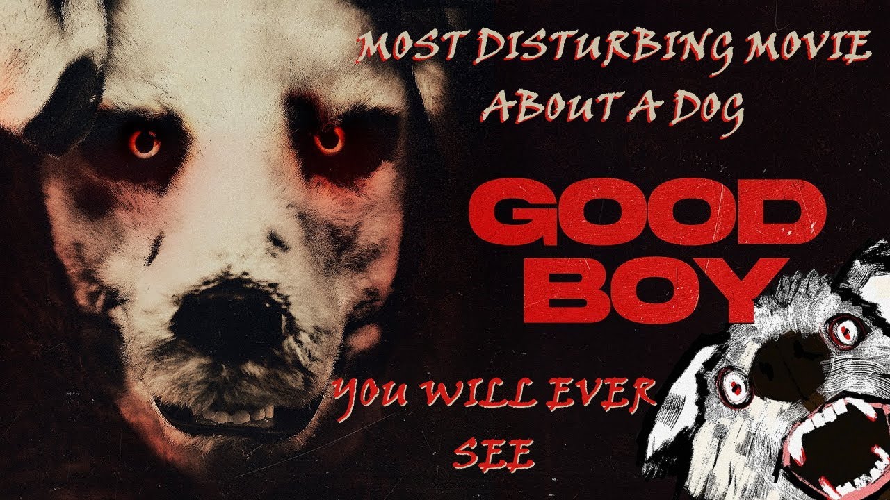 Disturbing Psychological Horror Film About a Very Special Dog - Good Boy Review
