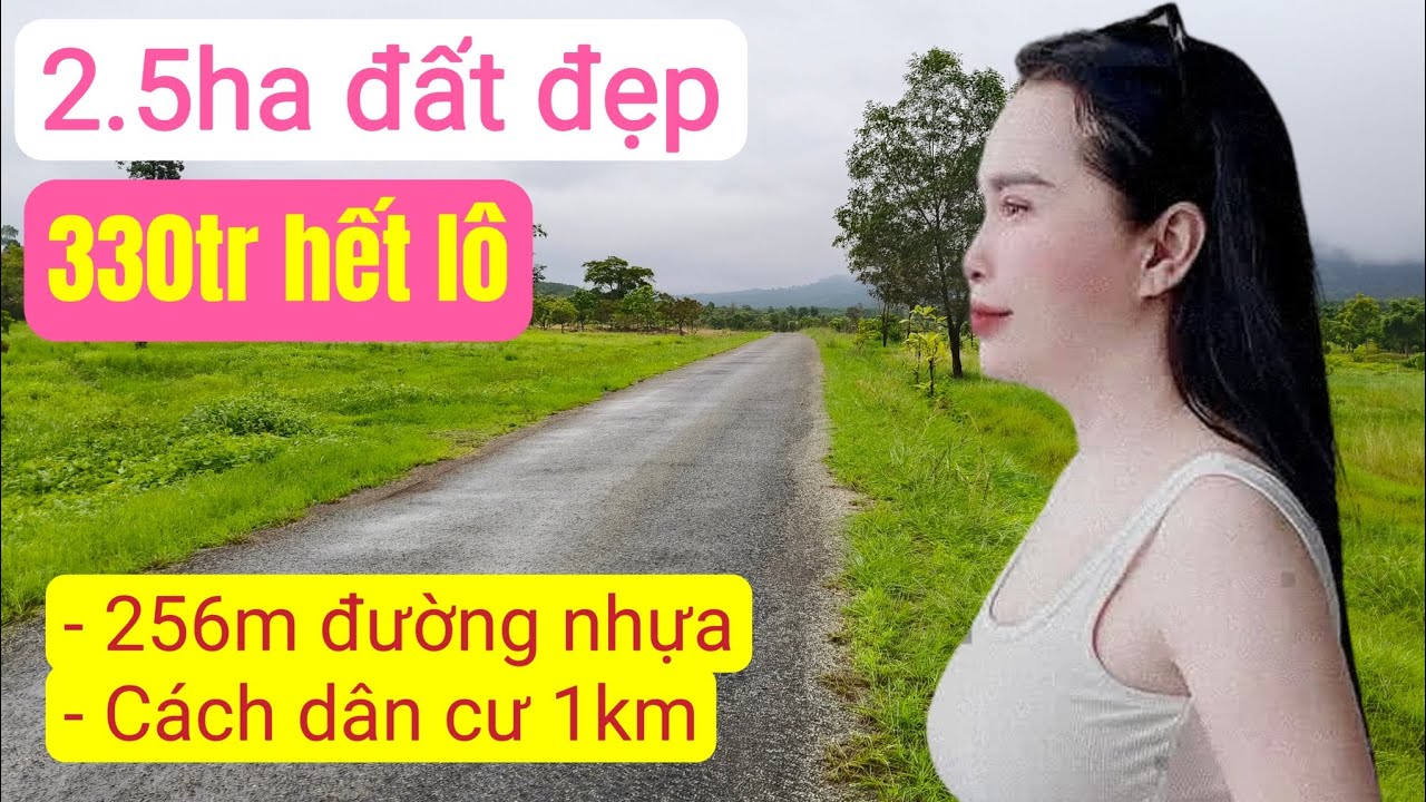 B&aacute;n đất n&ocirc;ng nghiệp gi&aacute; rẻ, bất động sản đất rẫy Gia Lai