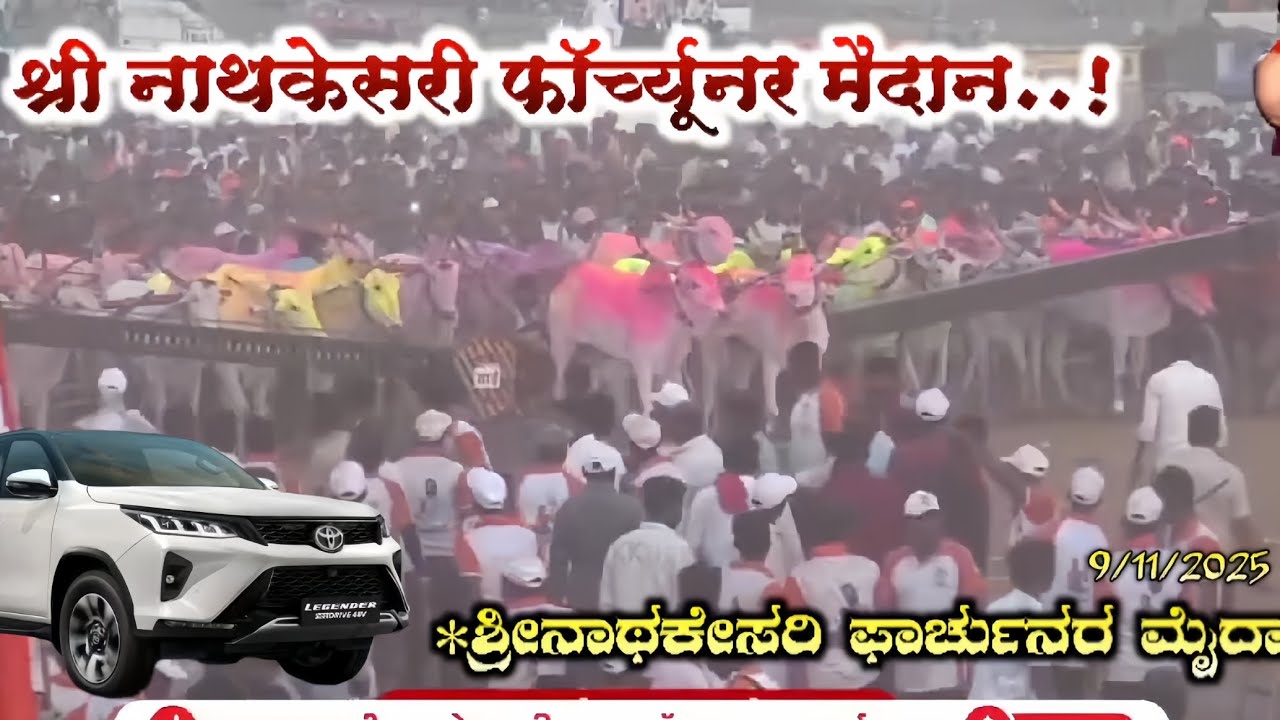 ಶ್ರೀನಾಥಕೇಸರಿ ಫಾರ್ಚುನರ ಮೈದಾನ🚩💥श्री नाथकेसरी फॉर्च्यूनर मैदान🔥#bailgadasharyat #bailgada 