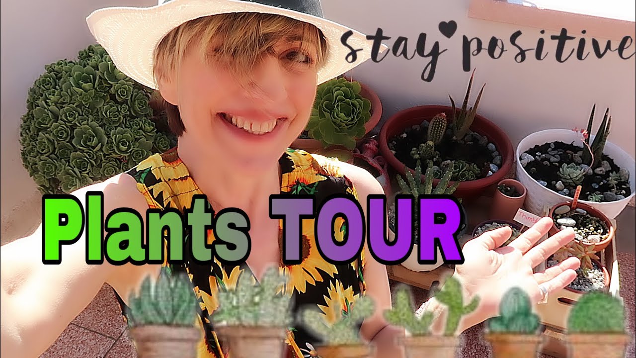 PLANT TOUR#1: TERRAZZO , CASA E GIARDINO : tutte le mie piante e i benefici della #GREENTHERAPY 🍀❤️