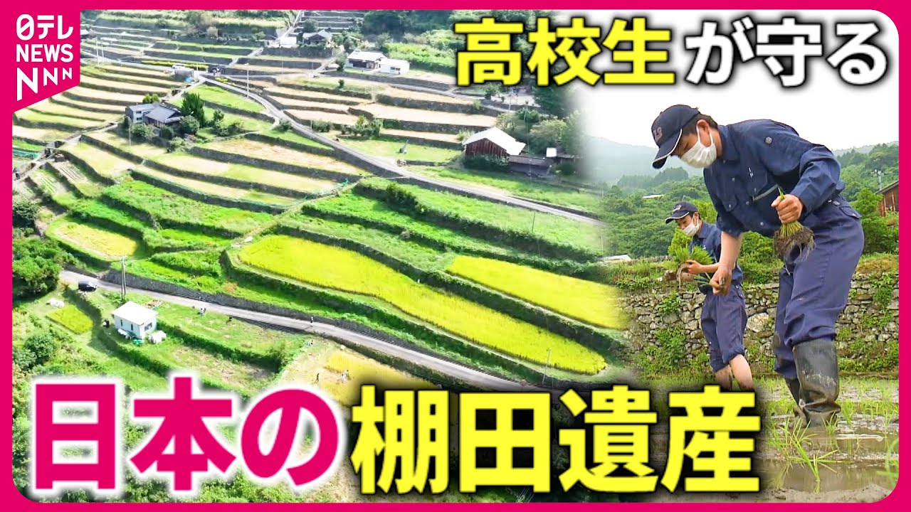 【世界に誇る美しさ】歴史ある"棚田" 手入れから稲作まで… 後世につなぐ高校生たちの奮闘　愛媛　NNNセレクション