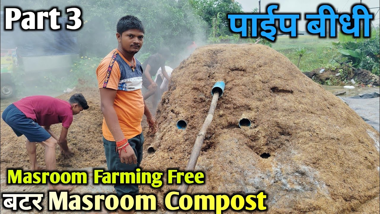 🍄 Part 3 | Button Mushroom की पूरी ट्रेनिंग | घर बैठे मशरूम बिज़नेस शुरू करें!
