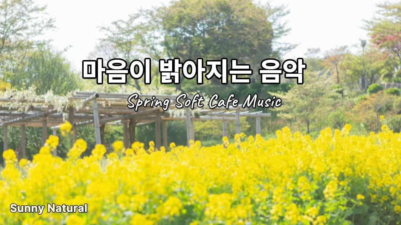 Soft Cafe Jazz ☕|  3 Hours | 오늘의 배경으로 충분해요.