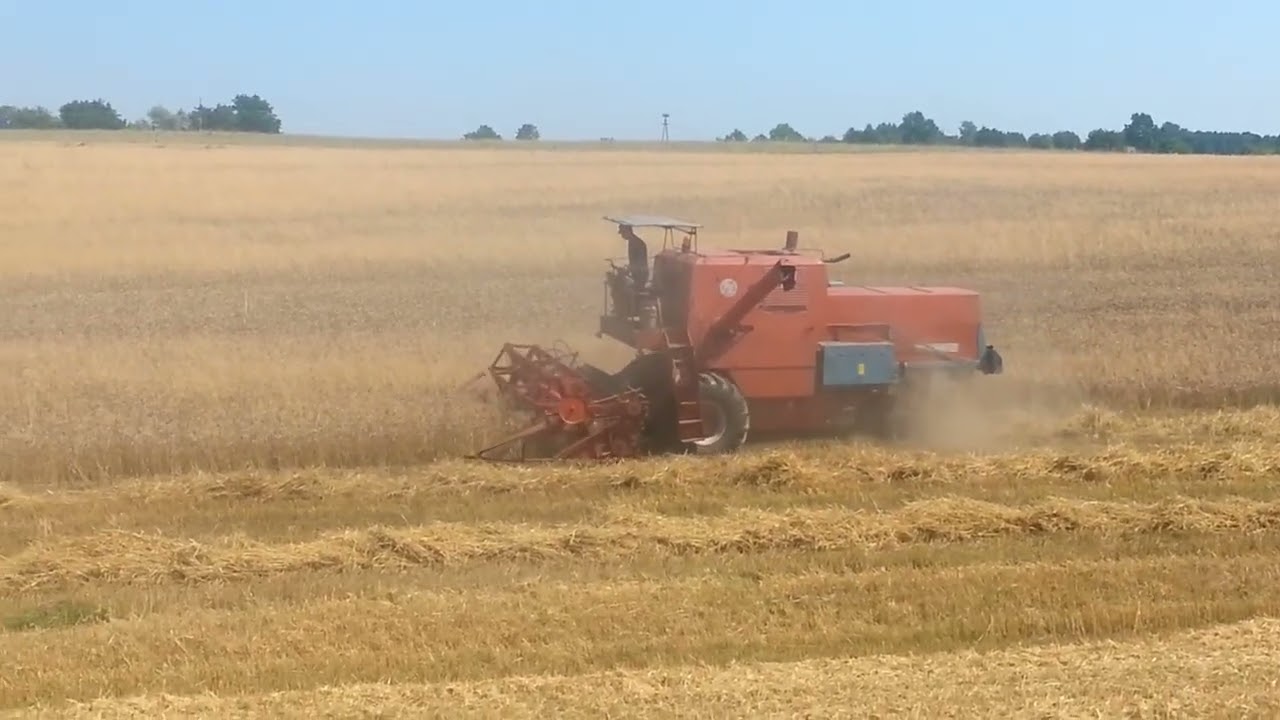 Bizon Z056 Super Koszenie Pszenżyta