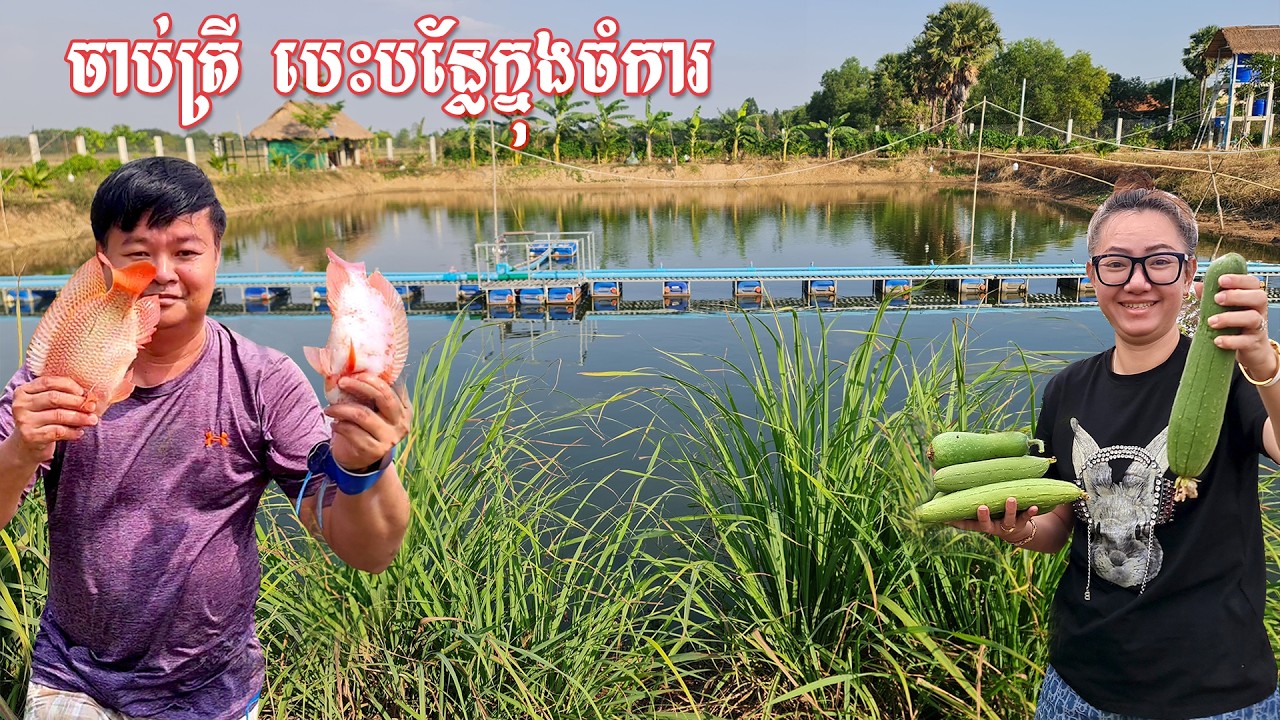 A Windy Weekend at Our Farm 🌿 Picking Vegetables & Catching Fish for Dinner