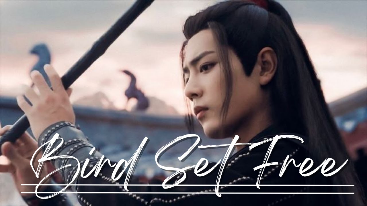 陈情令 | The Untamed FMV | Bird Set Free – Sia | Wei Wuxian