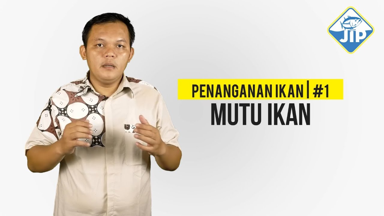 Penanganan Ikan #1 | Mutu Ikan