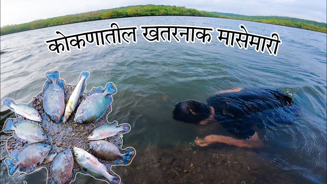 पाण्यातील दगडाखालून हाताने मासे पकडण्याचा थरार 😍 | कोकणातील मासेमारी | konkan fishing video