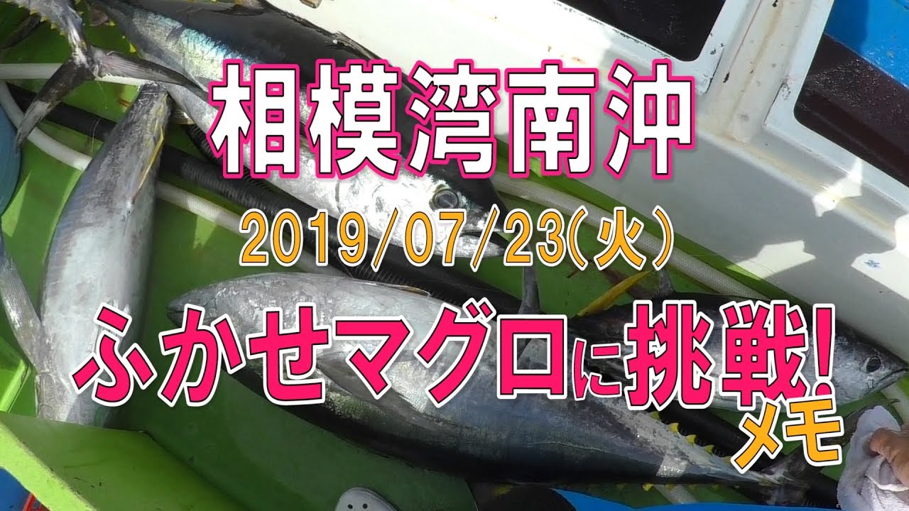 【活き餌カツオマグロ船】相模湾南沖ふかせマグロに挑戦メモ！(2019/07/23)長三朗丸