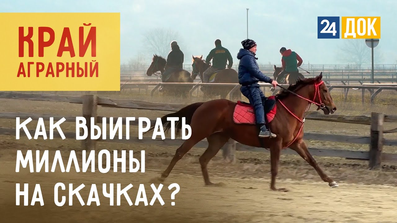 Конные заводы «Прогресс», «711» «Самоволов» готовятся к скаковому сезону 2024. Край аграрный