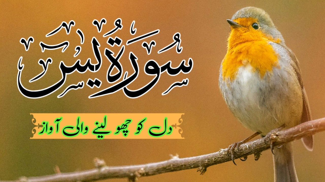 Surah Yaseen (Yasin) | Ep 039 | سورہ یٰس | Heart Soothing Recitation | Quran Tilawat |