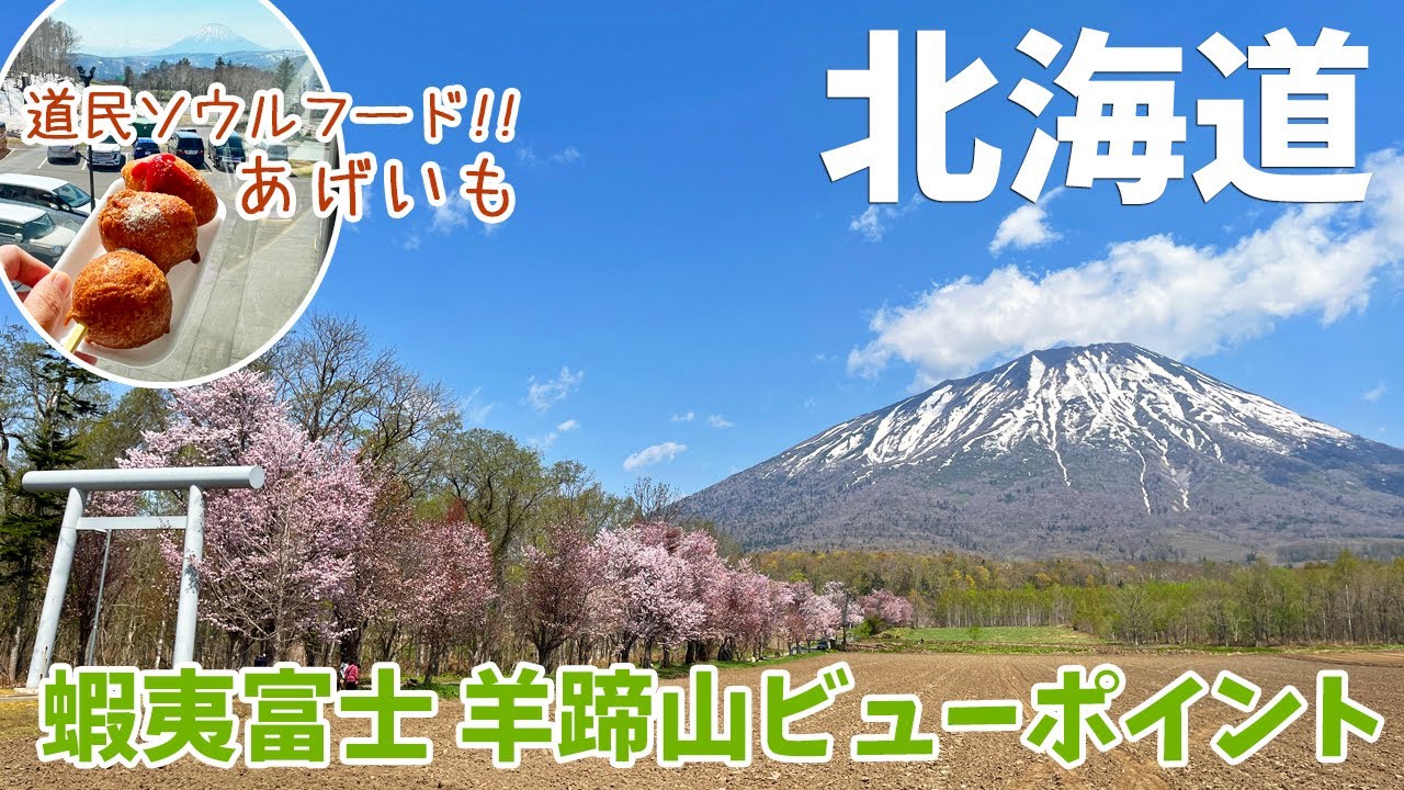 [ 北海道 3泊4日の旅 ]　#6 絶景ドライブ＆グルメ編です　～ 真狩神社の桜並木と羊蹄山 / 望洋の丘 / 桜満開ふきだし公園 / 道の駅望洋中山の名物あげいも / 新千歳空港ラーメン道場 ～