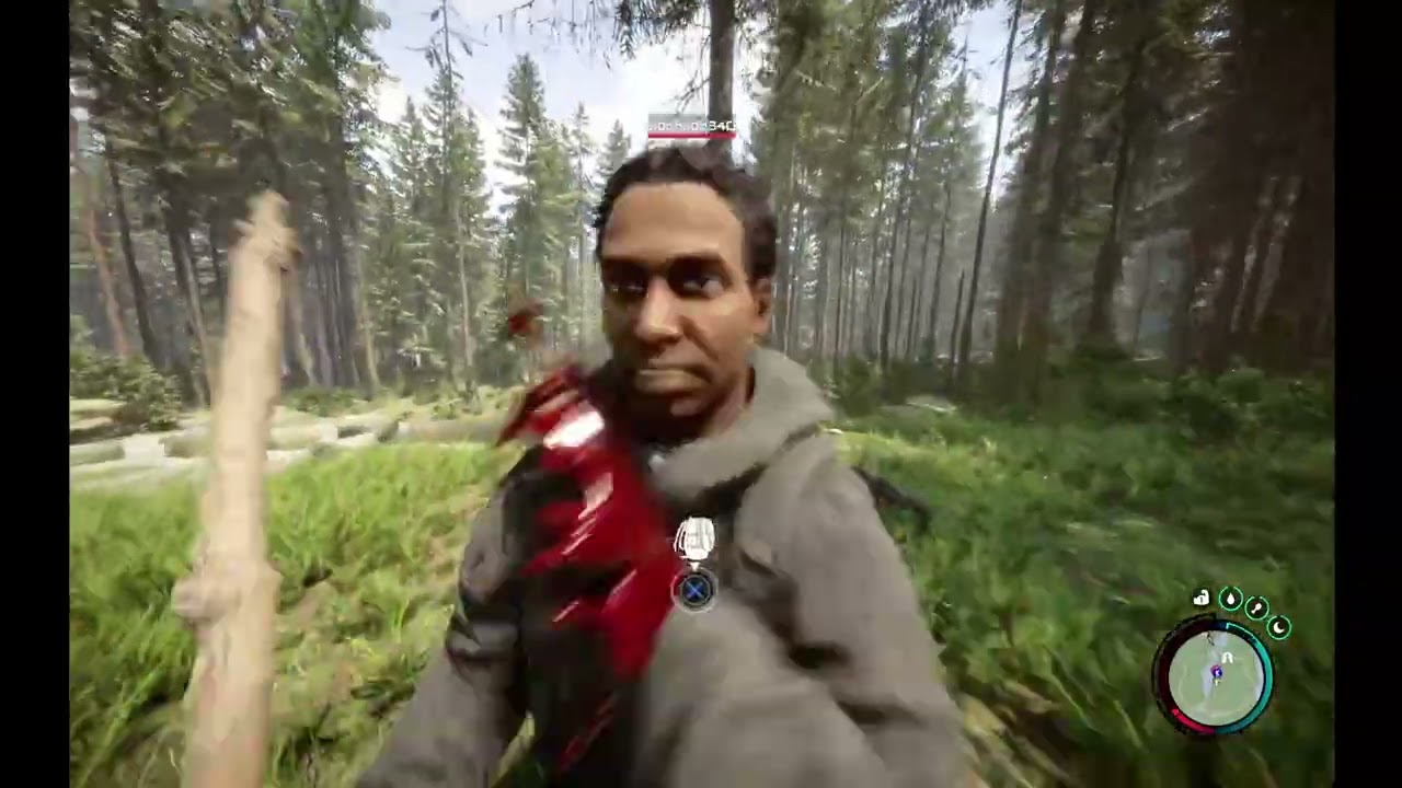 EN BUSQUEDA DEL CEO DESAPARECIDO SONS OF THE FOREST