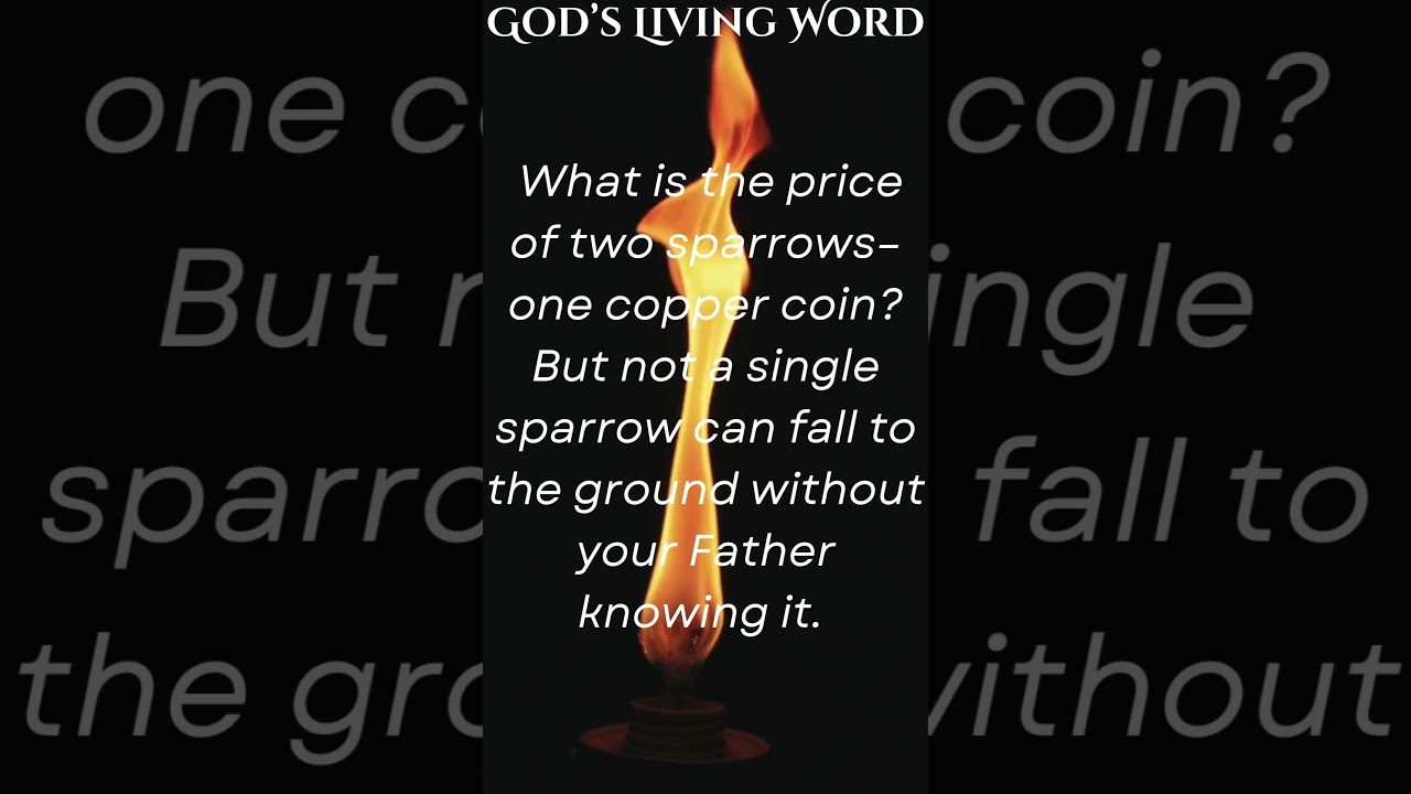 What is the price of two sparrows&ndash;one copper coin? #jesus #love #truth