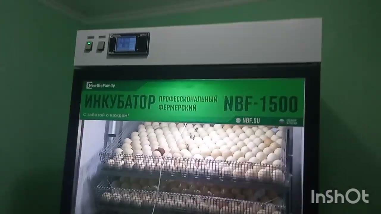 10 бизнес идея бир аппарат менен кандай инкубатор жакшы 0779960793