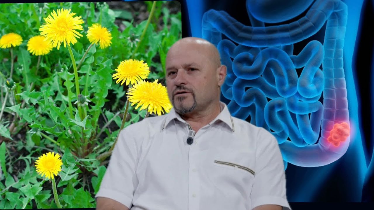 “Rrënjët e lules së radhiqes vrasin qelizat kancerogjene”, bima çudibërëse që e ‘shkelni’ përditë