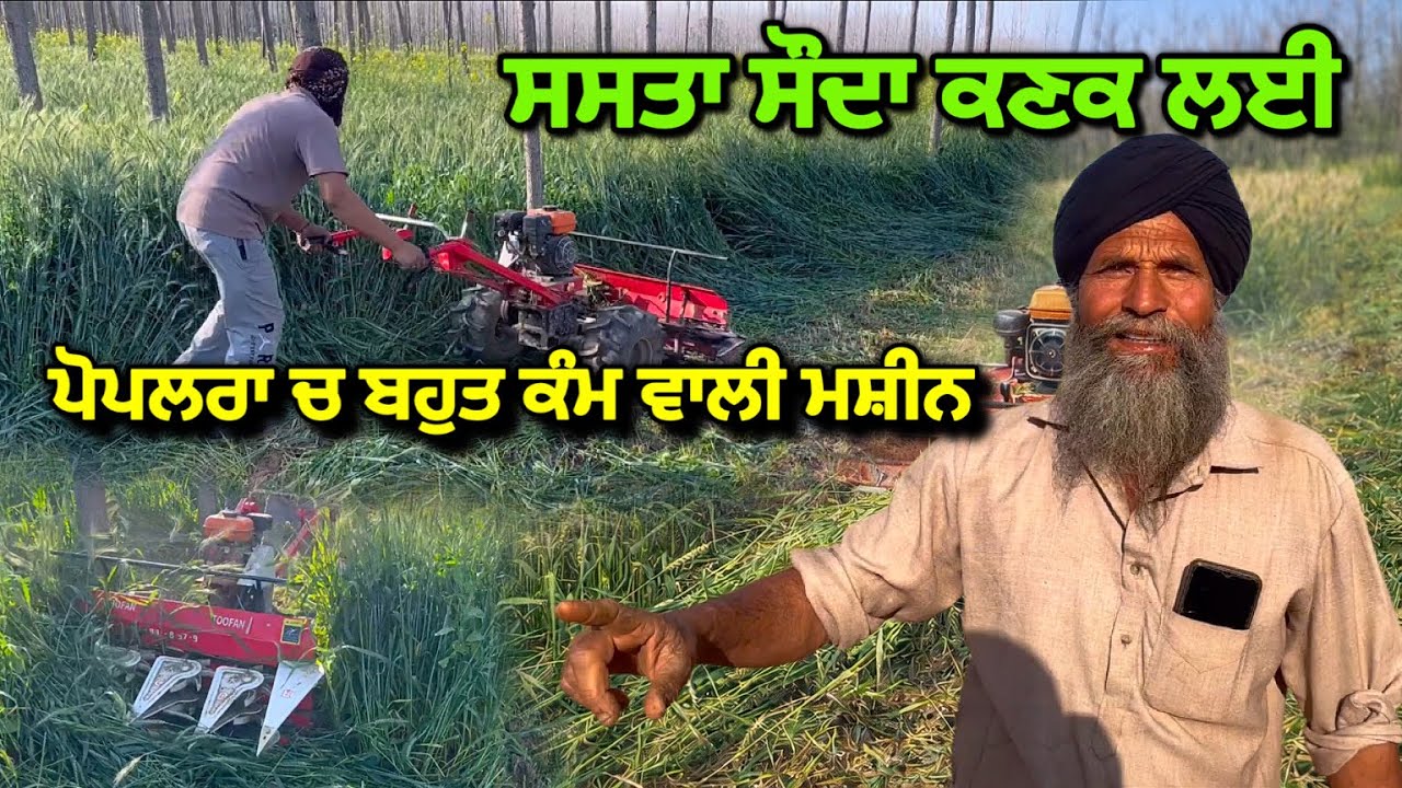 ਕਣਕ ਵੱਡਣ ਵਾਲੀ ਮਸ਼ੀਨ / ਪੋਪਲਰਾ ਚ ਬਹੁਤ ਕੰਮ ਆਊ / ਸਸਤਾ ਸੌਦਾ 