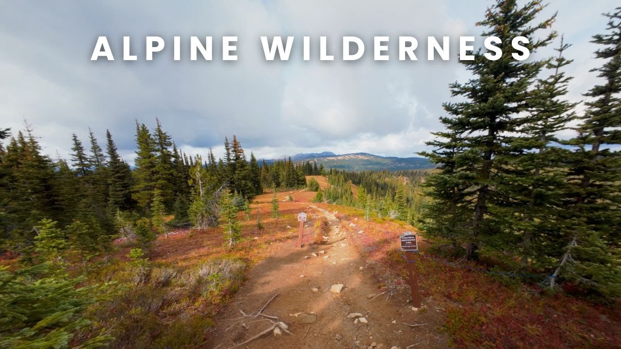 Alpine Walk in the Canadian Wilderness | 4K Scenic Walk with Nature Sounds