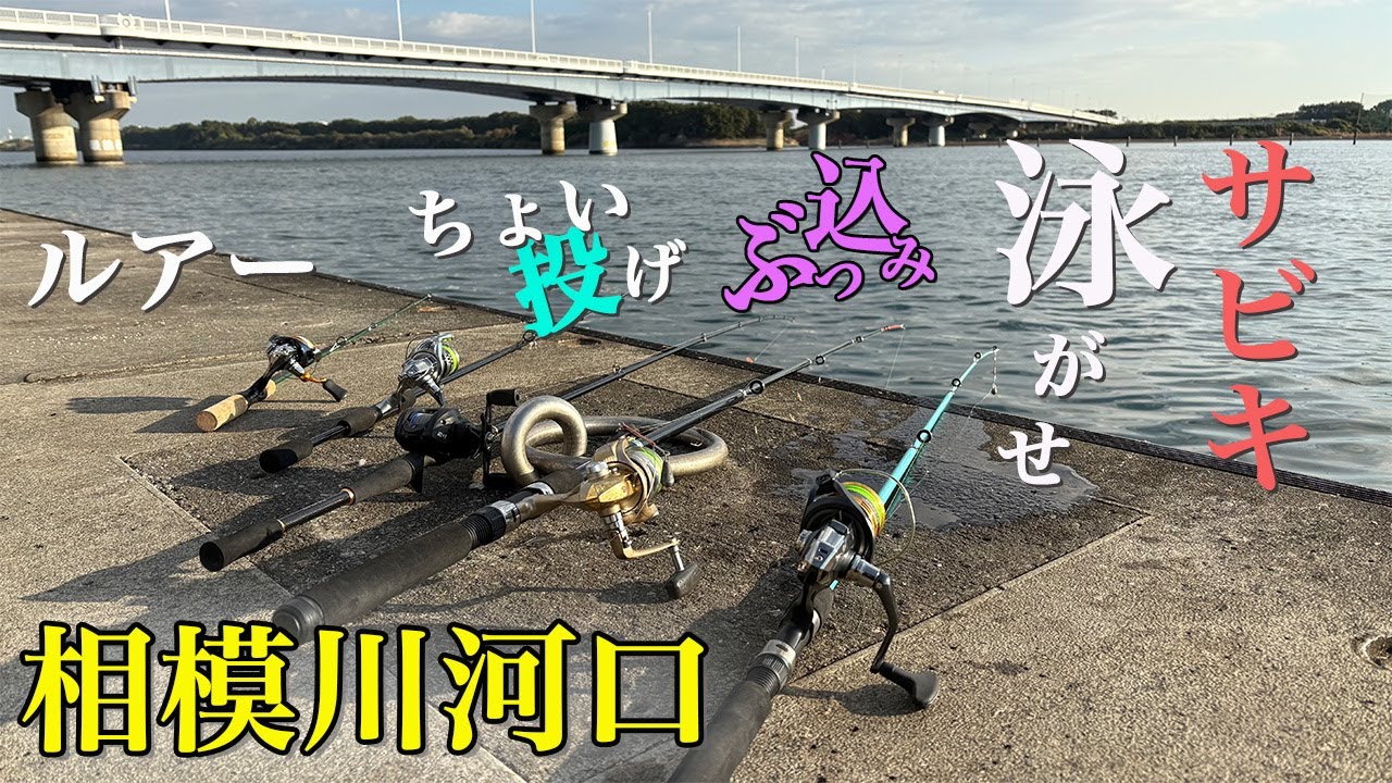 【相模川河口】ルアー、ちょい投げ、サビキ、ぶっ込み、泳がせ、全部やった結果！！