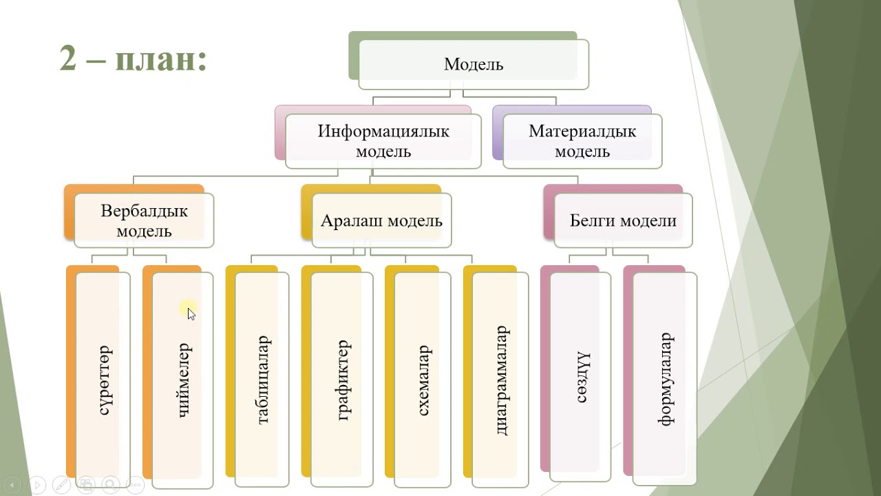 Информациялык модель жана анын түрлөрү, берүү формалары