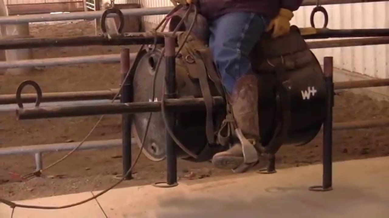 Foot Placement on Stirrup