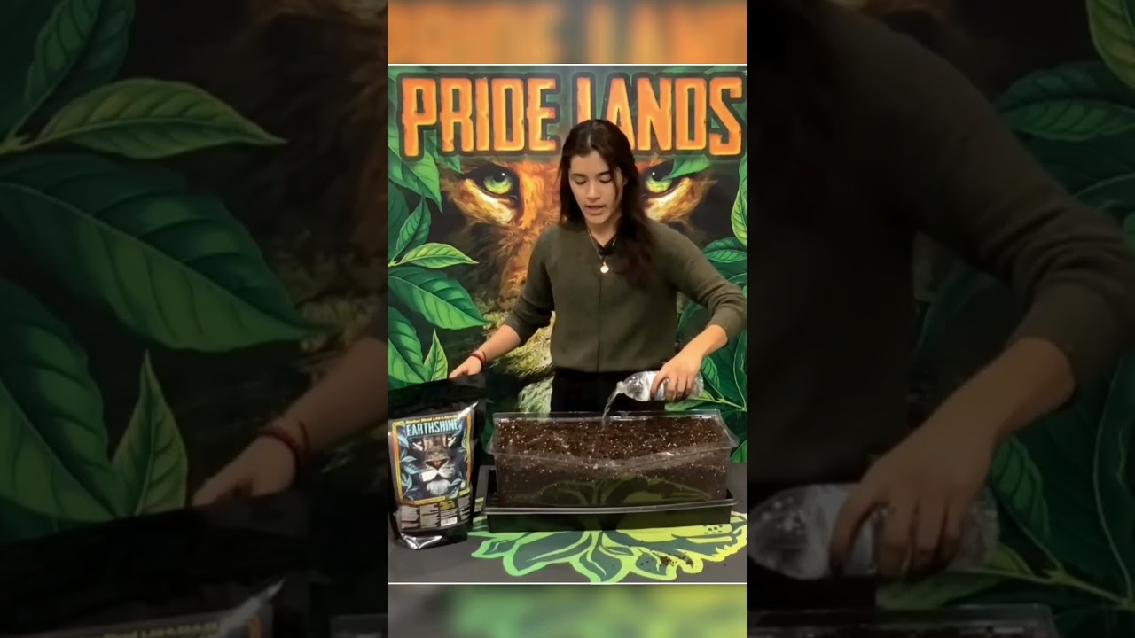 Refresh & Rebuild Your Soil with Earthshine Biochar Blend ✨ #gardening  #growyourownfood #organic