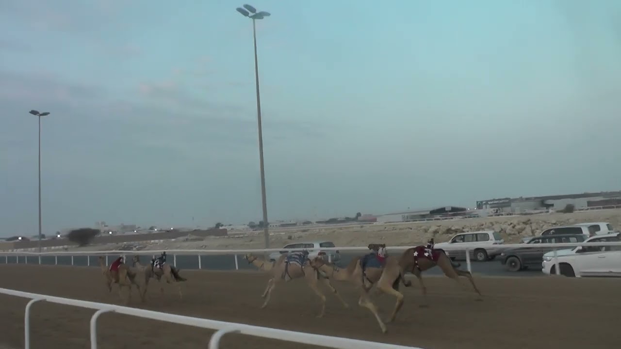 ش2 / مشتركات / قعدان /صايب / سالم بن غانم الدوسري /02:12:08