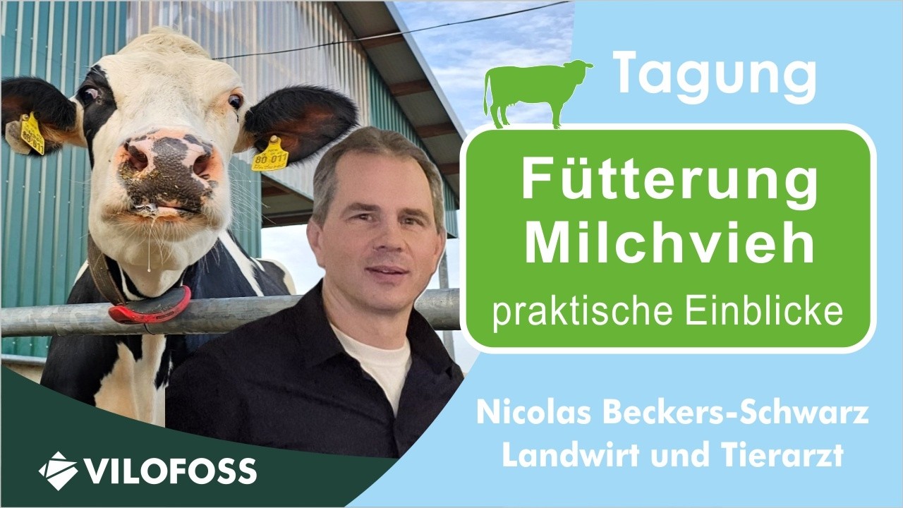 #6 🐄 Herausforderungen Milchviehfütterung - praktischer Einblick. Beckers-Schwarz - 11-2025 Vilofoss
