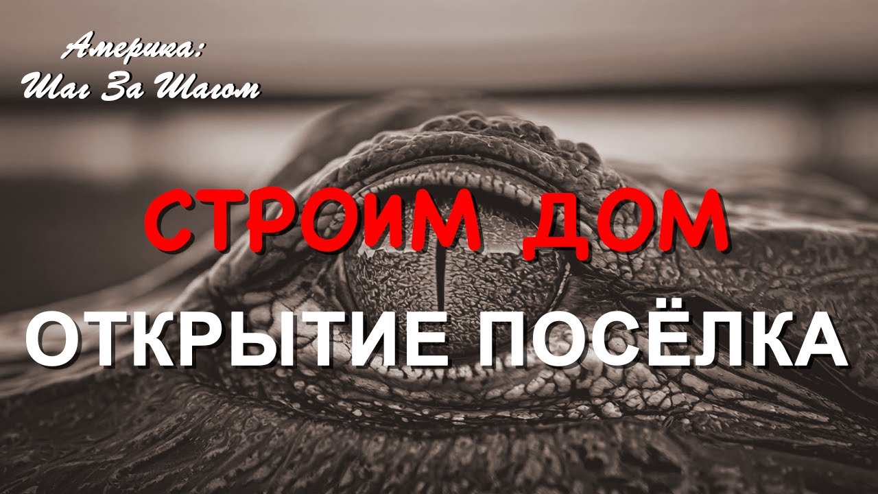 Стройка не стоит на месте: начали обшивку стен и опробовали бассейн в комьюнити. #НашиВАмерике #США