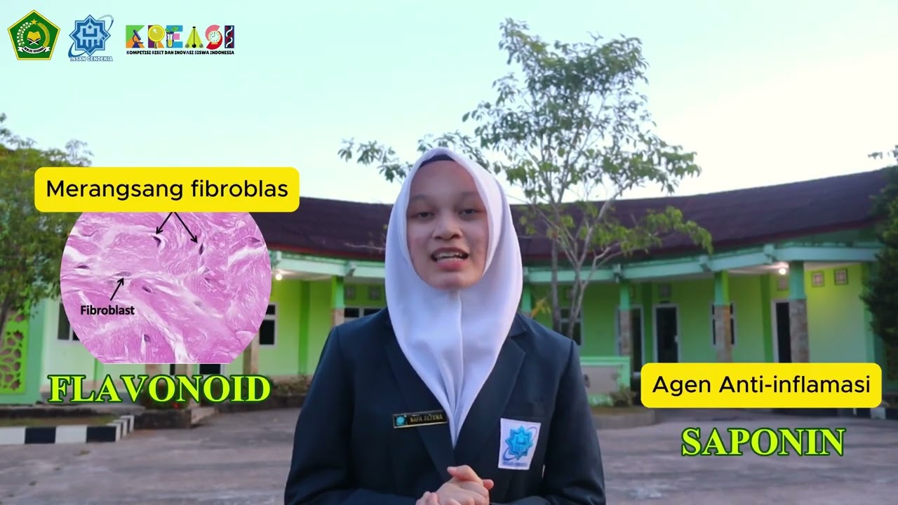 KREASI 2025 - FINALIS - MSTL - SMA - MAN INSAN CENDEKIA OKI - EFEKTIVITAS SALEP EKSTRAK