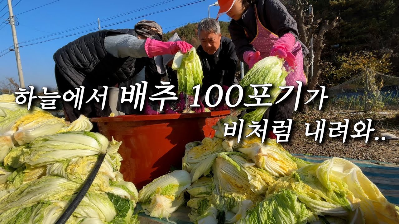 평범한 가정집 김장 브이로그