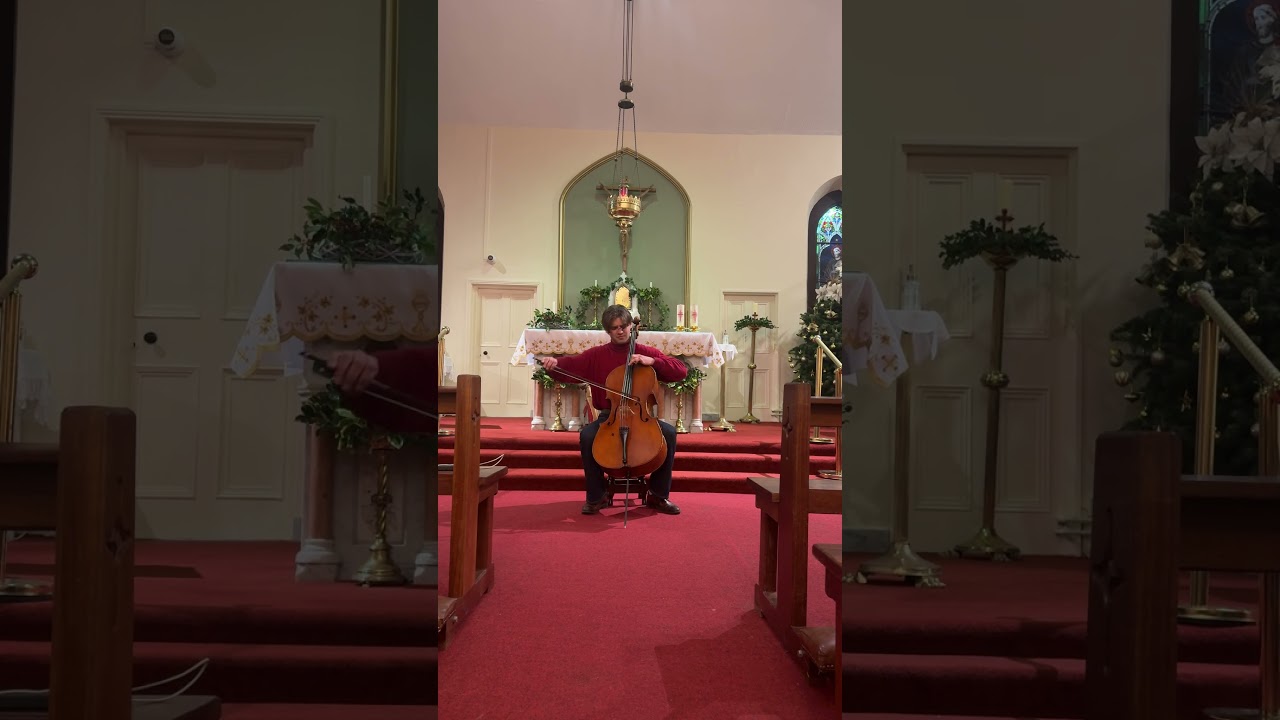 Alexander Brychta -  J.Haydn D exposition,  J.Brahms Symphony no.3 excerpt