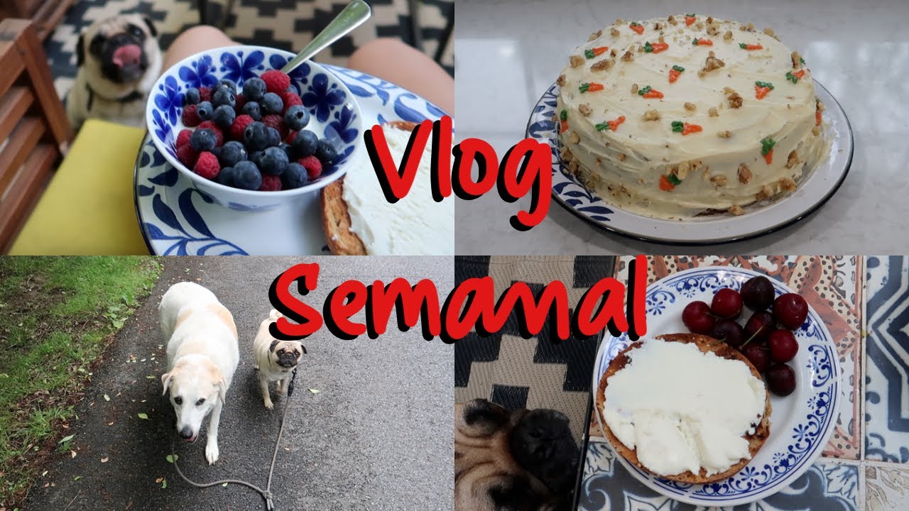Vlog de verano ✨🌞