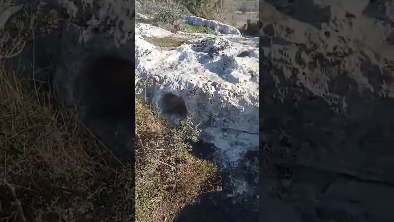 KRAL MEZARI B&Uuml;Y&Uuml;K LAHİT