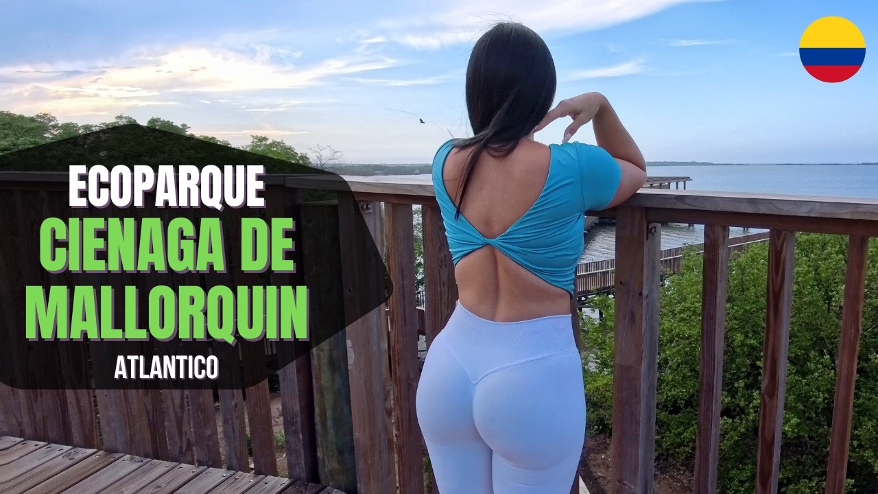Un tesoro natural en Barranquilla: Ecoparque Ciénaga de Mallorquín 🇨🇴