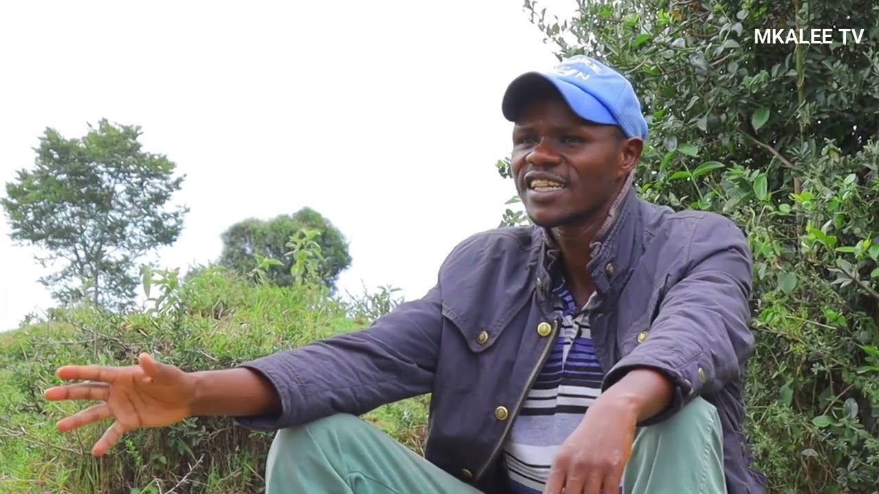 Kalenjin proverbs  by Time to see tv