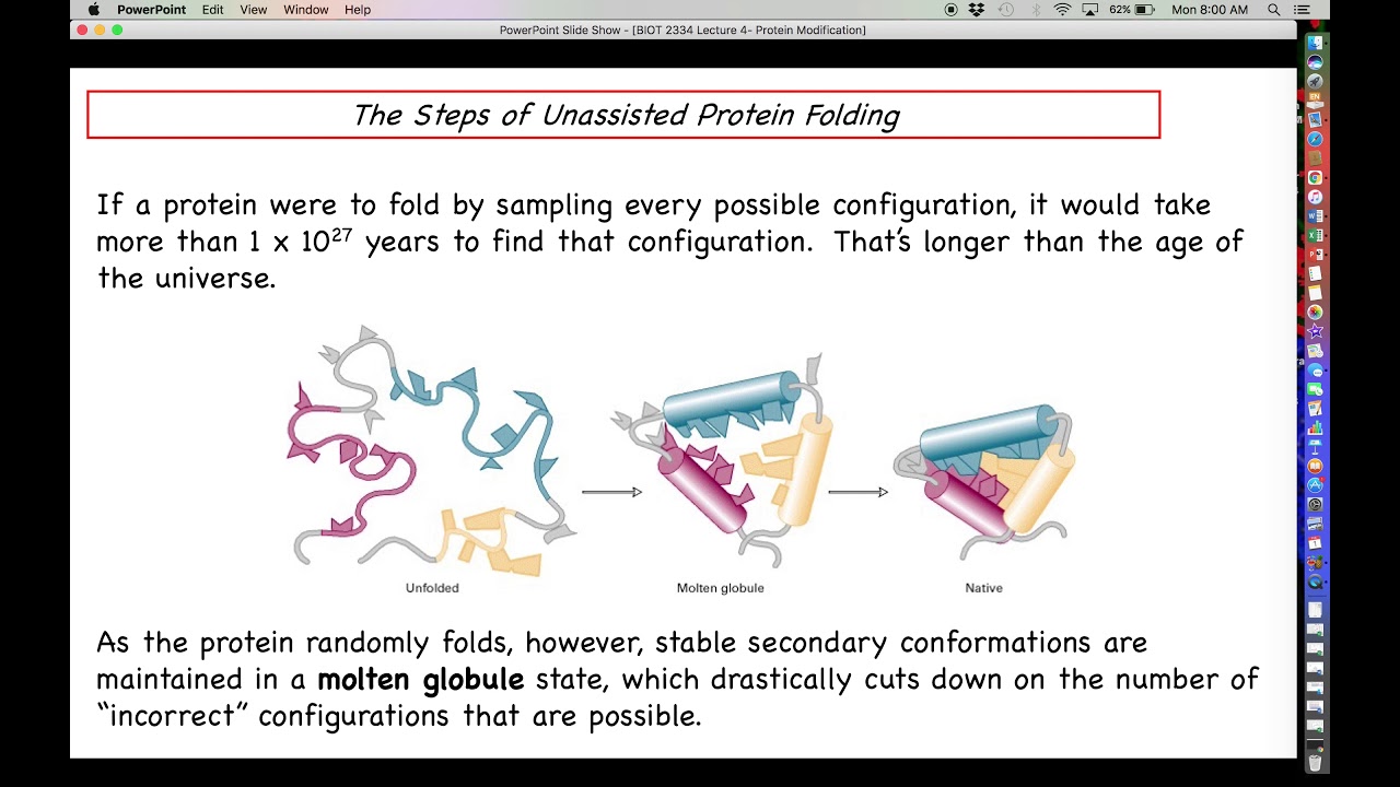 Proteomics - Chaperones in Protein Folding