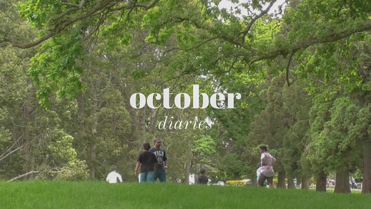 October Diaries | Videocam