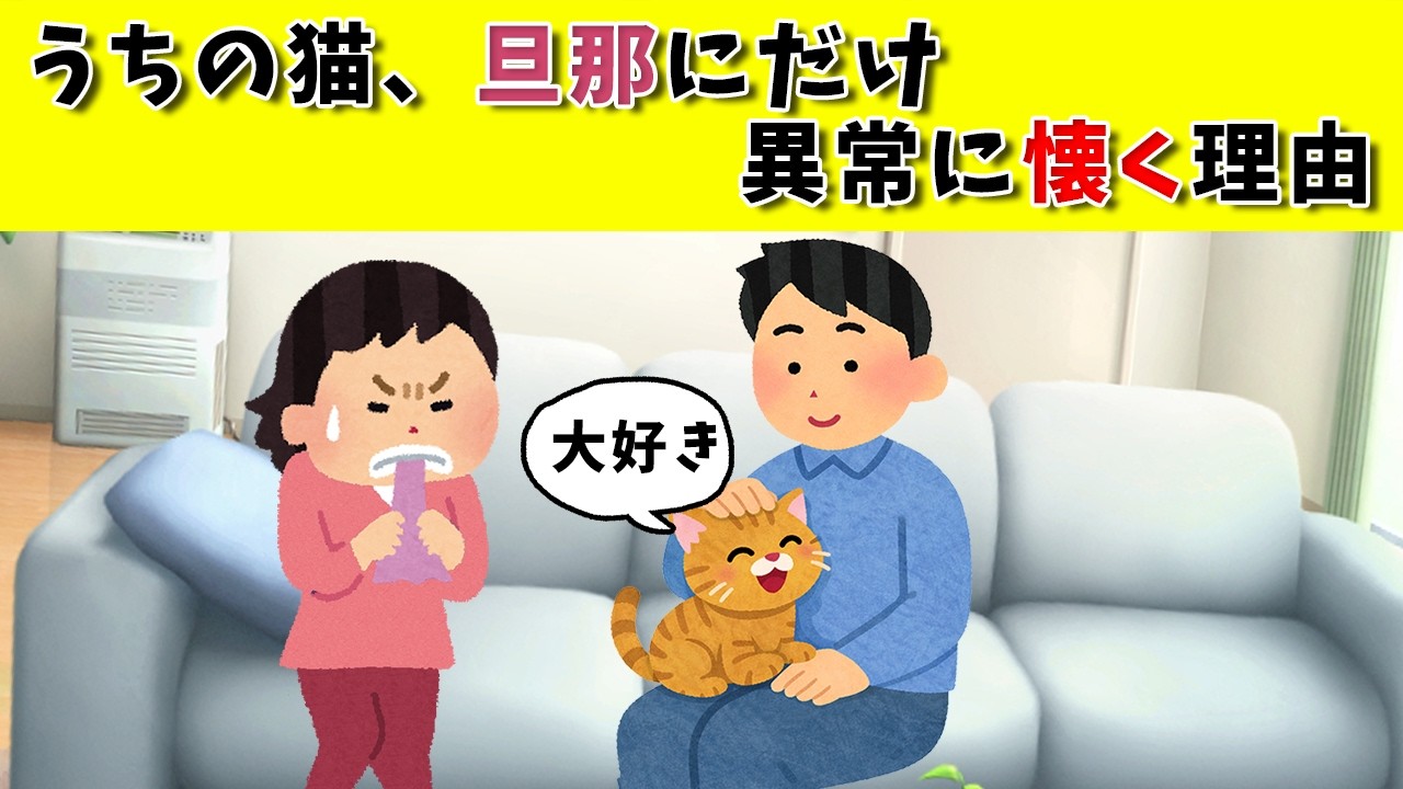 うちの猫の大好きな人　#猫あるある #猫のいる生活 #猫好きさんと繋がりたい