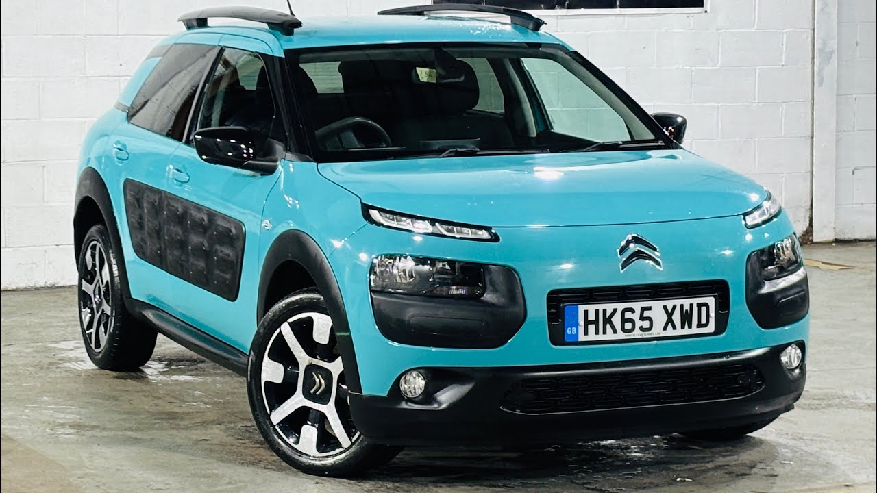 C4 Cactus 