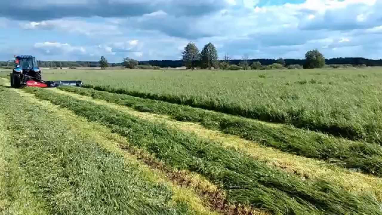 Kosiarka SIP260S ALP + NewHolland TD5050