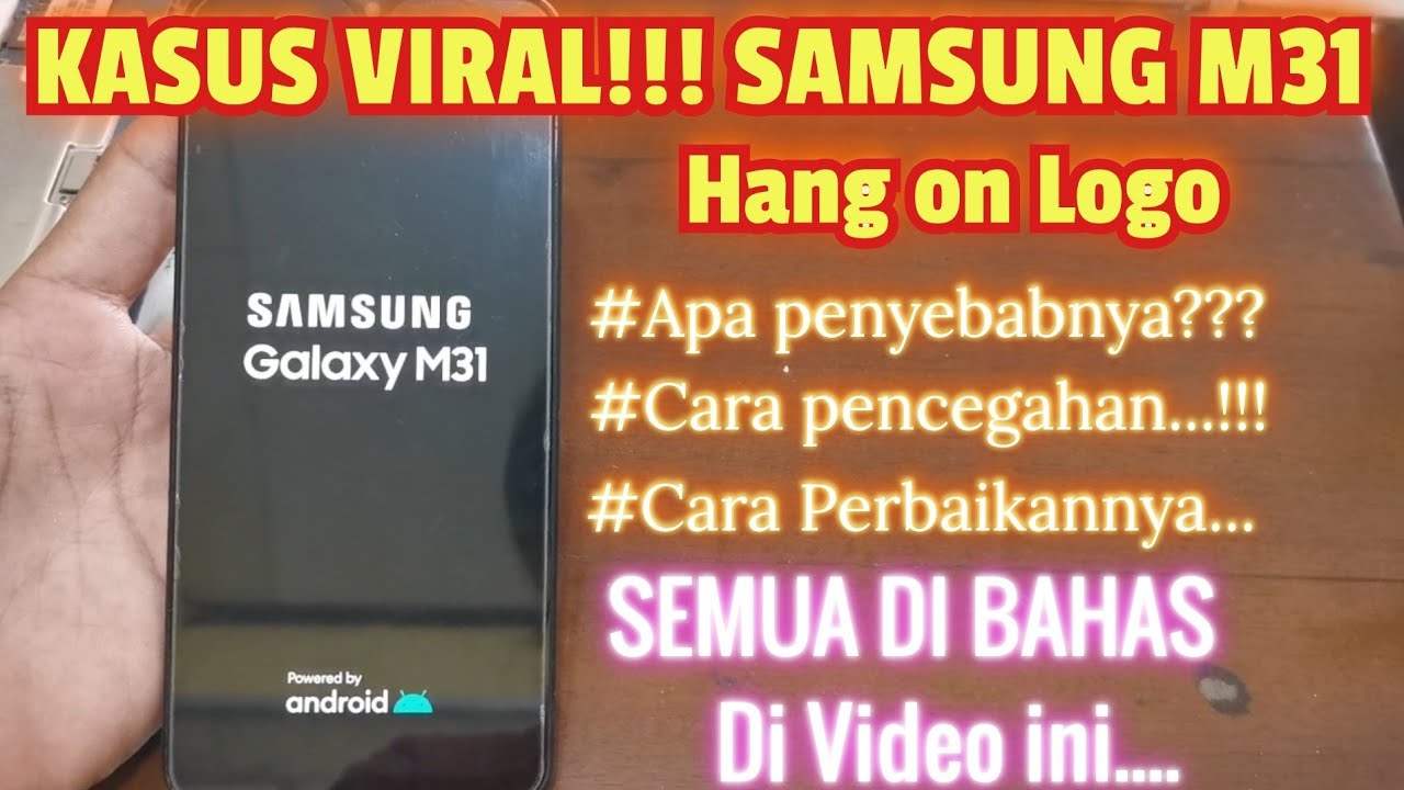 KASUS VIRAL!!! SAMSUNG M31 HANG LOGO PALING SERING TERJADI