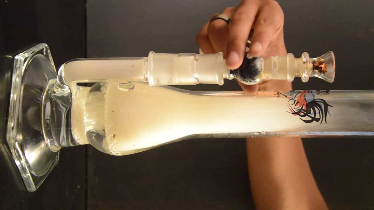 David Goldstein Rooster Apparatus Hits