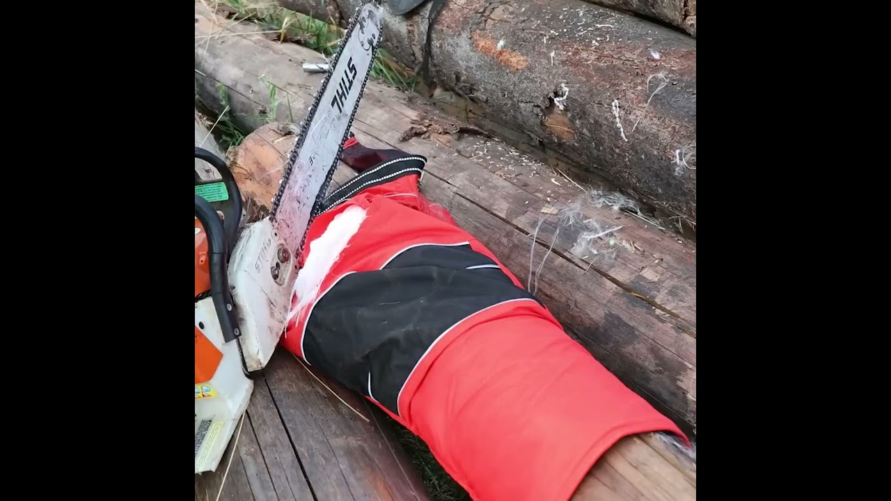 Can Amazon’s Budget Chainsaw Chaps Compete with Stihl ProMark? Real-World Test Results!