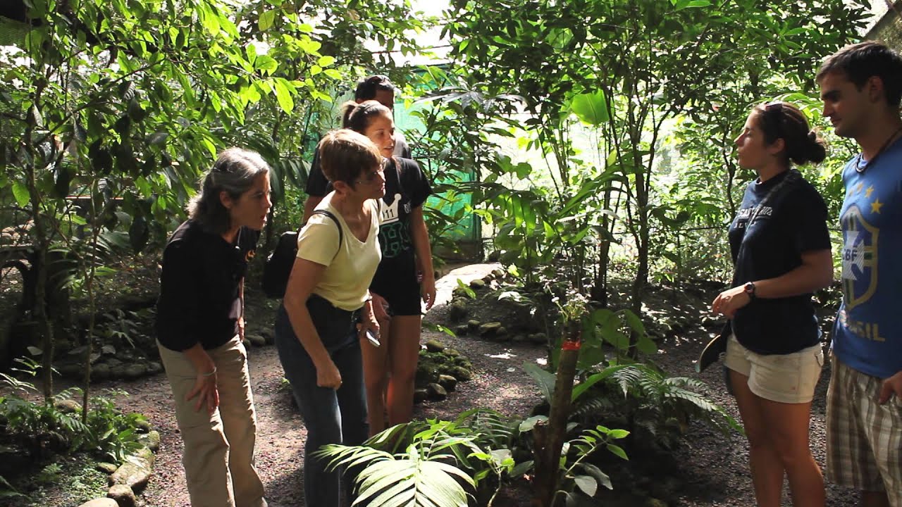 The Butterfly Conservatory - Virtual Tour