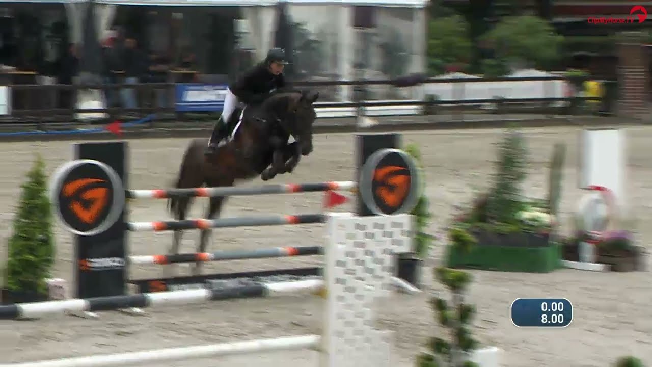 Pommerol de Muze (Emerald van 't Ruytershof x Kannan),  Lastrup 2021. 3rd YH 6yo