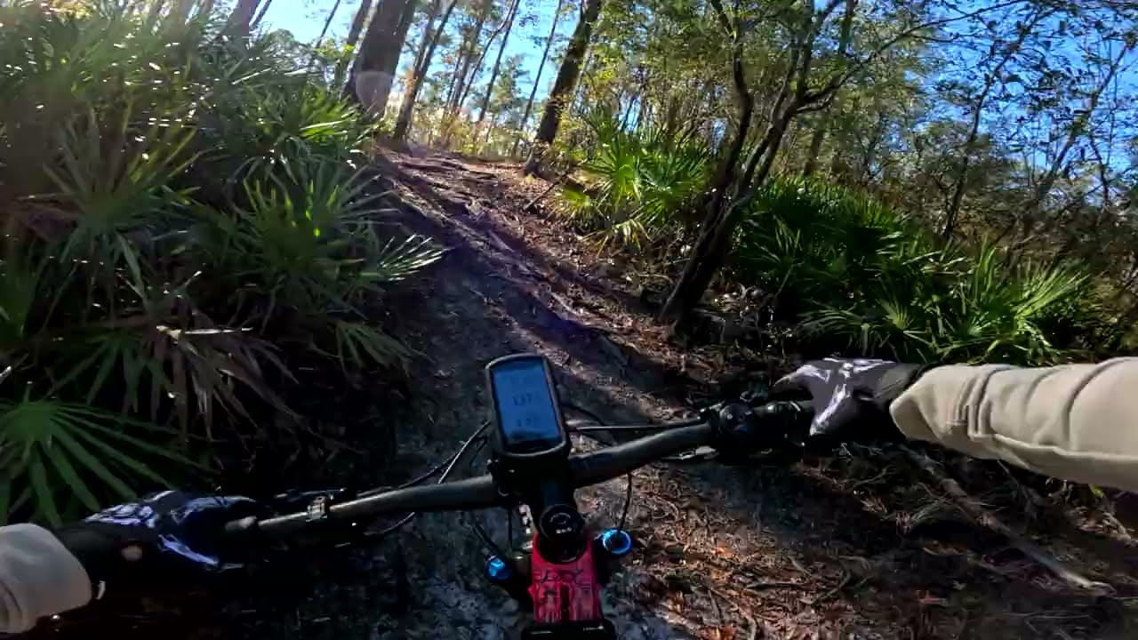Florida Bike Ride at Big Shoals State Park, located in White Springs Florida. River Section