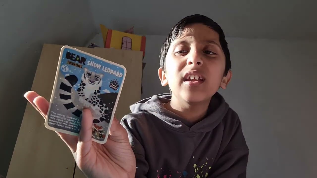 yo yo bear card unboxing ( lots of new cards) 2022