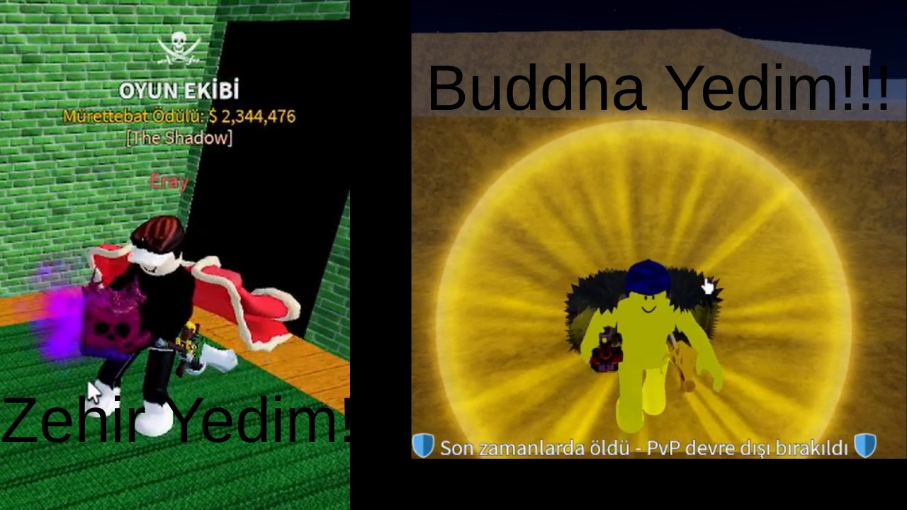 ARKADAŞIM ZEHİR YEDİ BEN BUDDHA OLDUM! | Blox Fruits