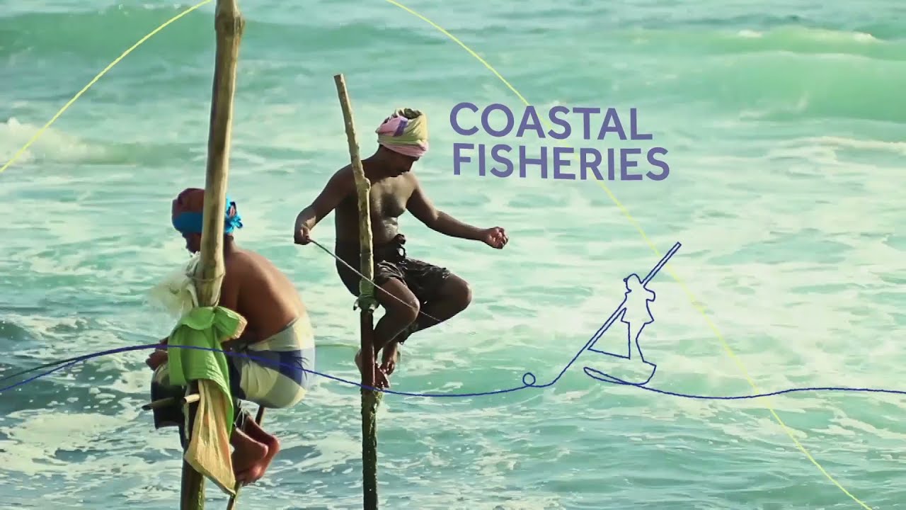 The Commonwealth Blue Charter